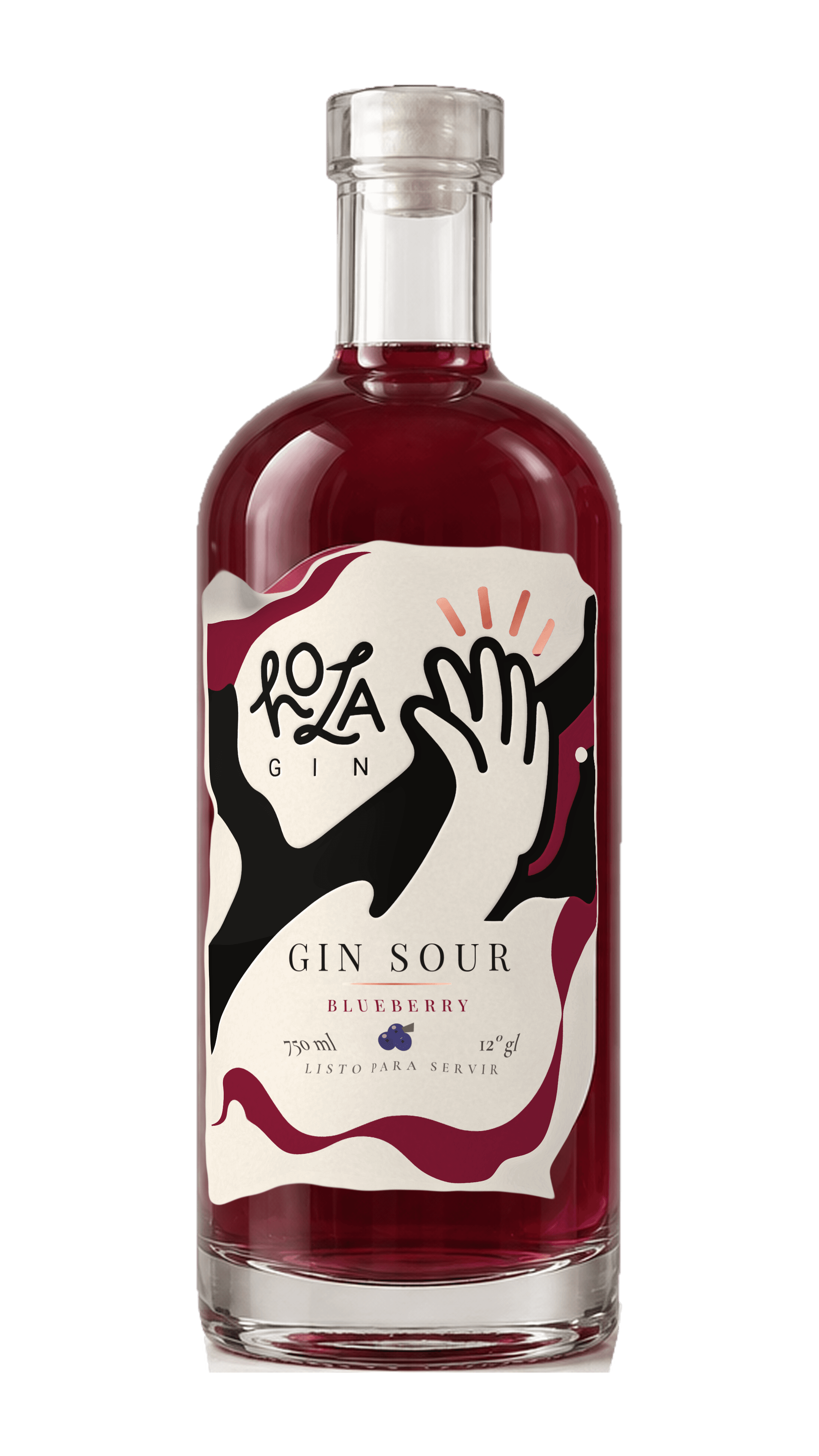 Botella de HolaGin® Blueberry Gin Sour, 750 ml